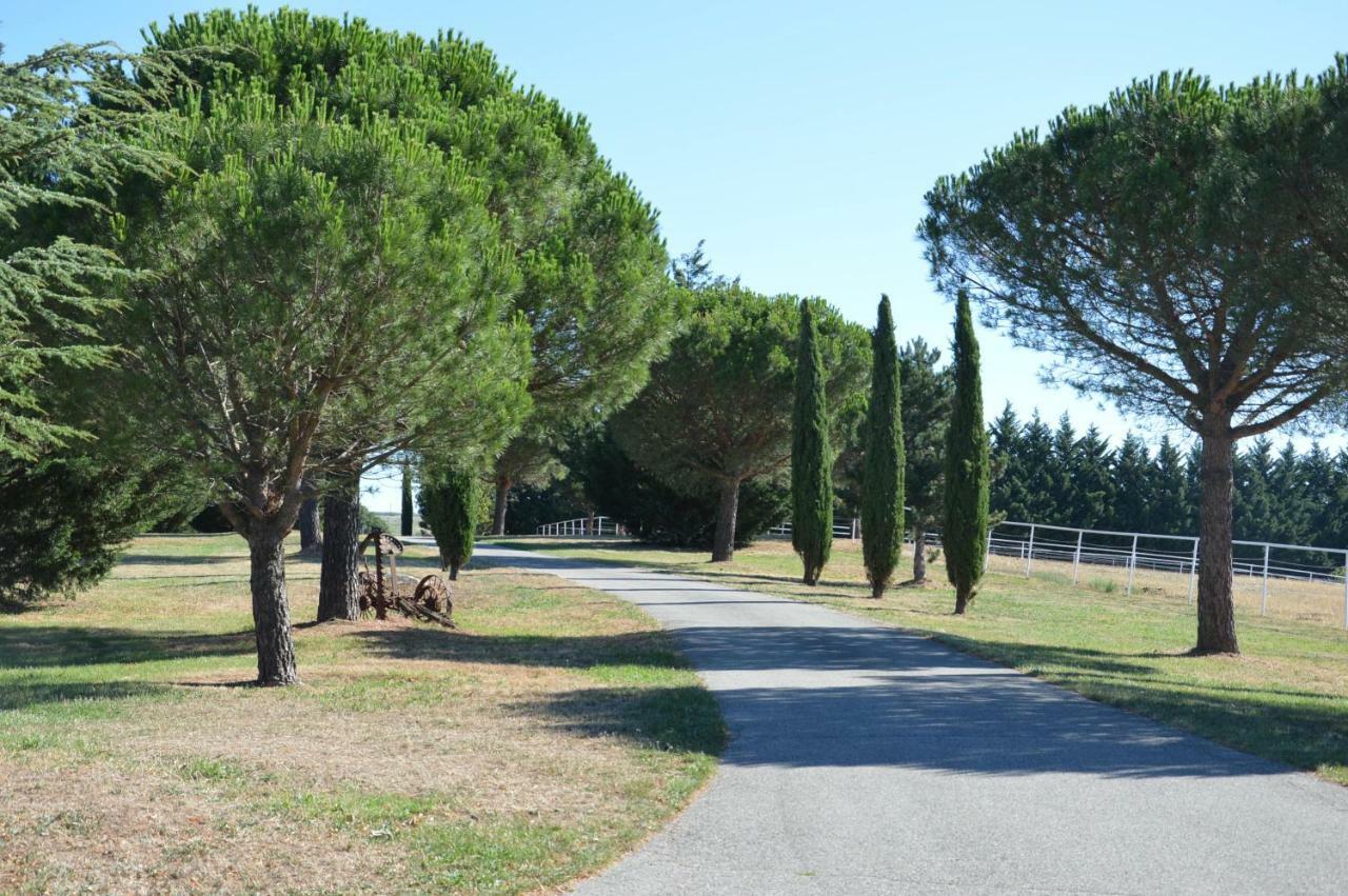 Les Hiboux Du Domaine Du Moulin Villa Etables  Eksteriør bilde