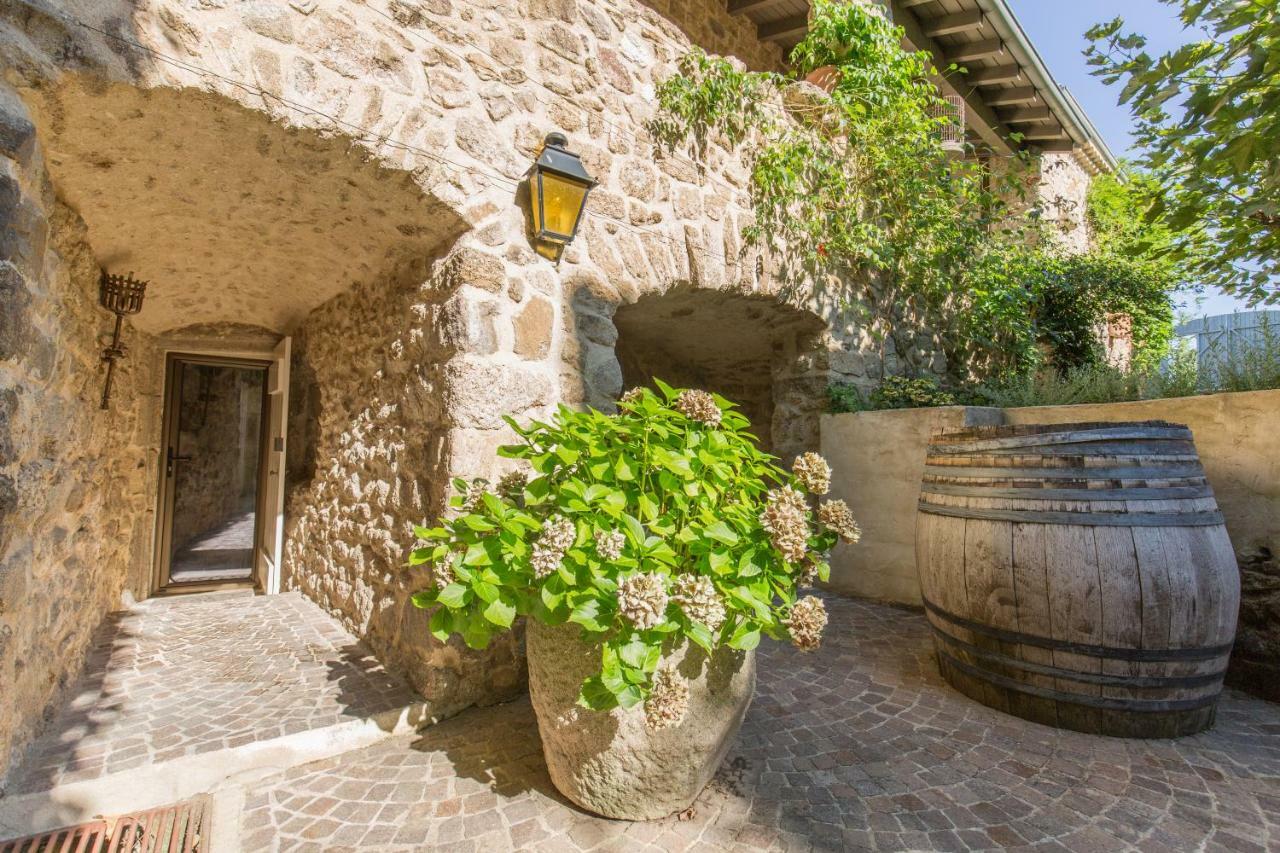 Les Hiboux Du Domaine Du Moulin Villa Etables  Eksteriør bilde